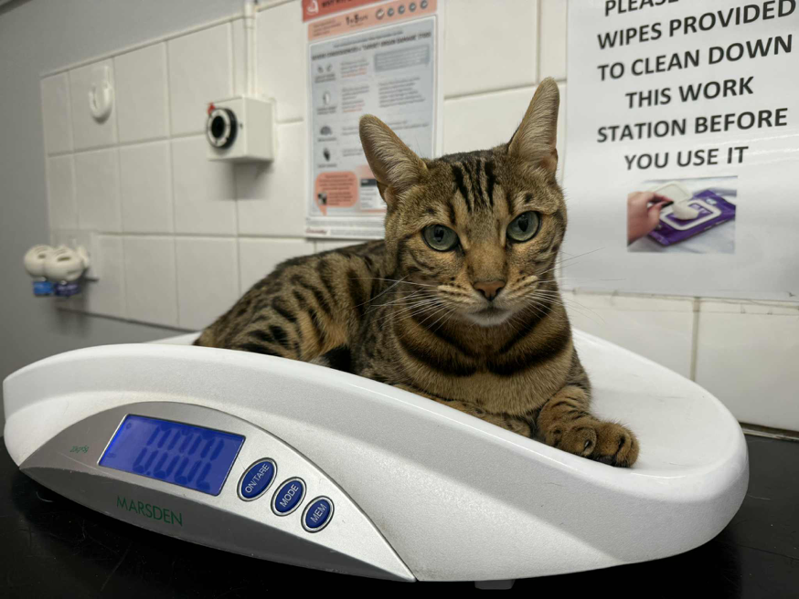 att.QmgjjE4a4qHFSZ9vrUmLa3YwM8XEOx6uoDogmylmP-8